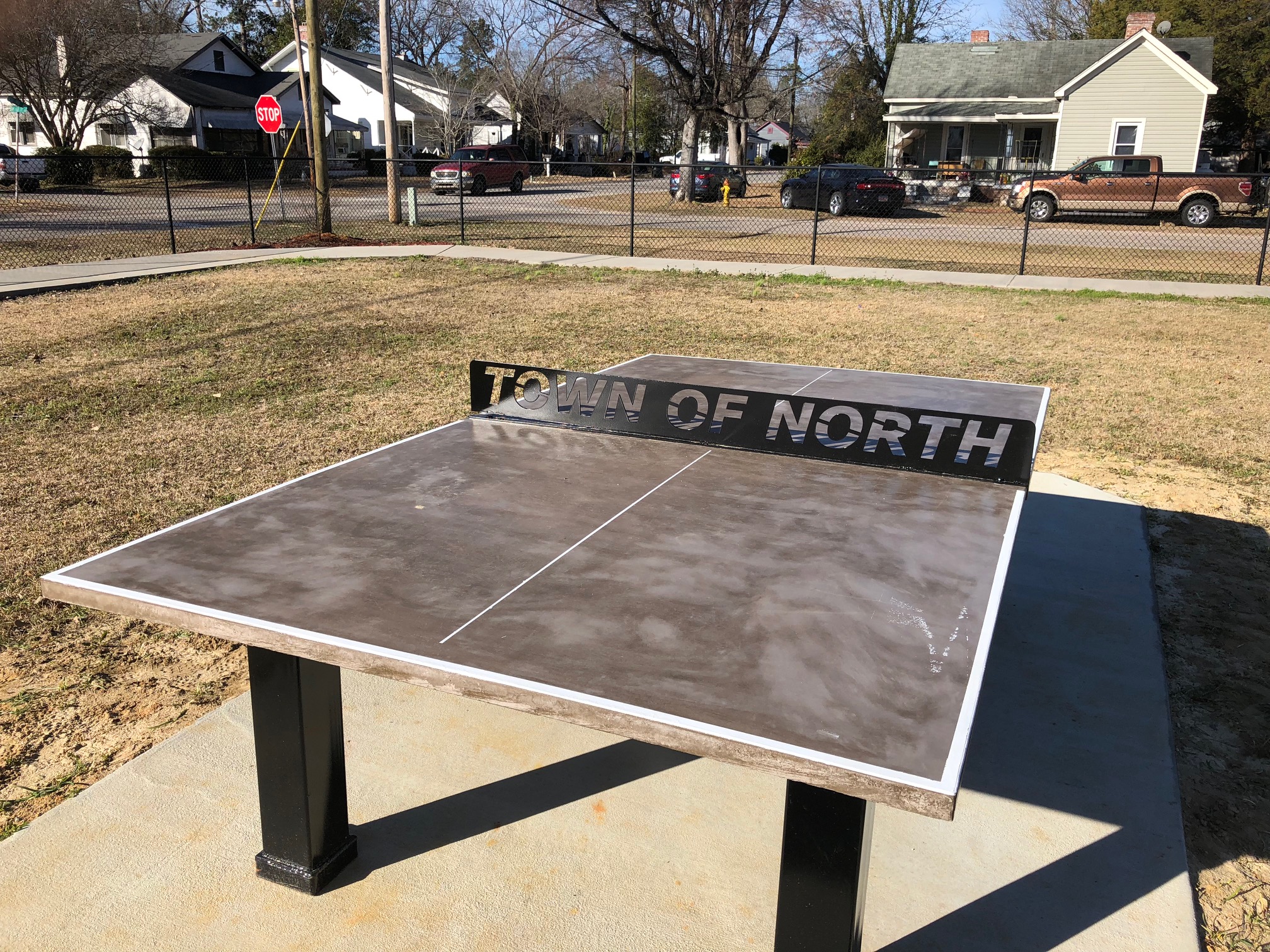 Ping Pong Table at Drew Owen Park